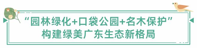 稳妥推进城市园林绿化助开云电竞 kaiyun.com力绿美广东生态建设(图2)