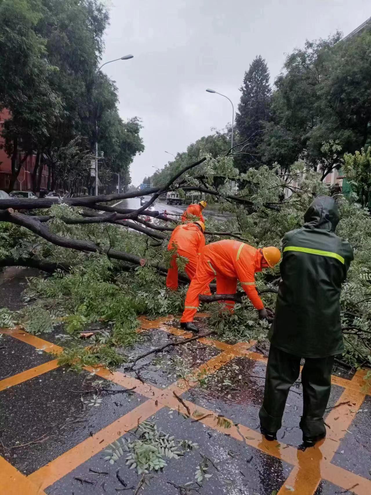 北京市园林开云电竞绿化局有力应对本轮强降雨天气(图1)