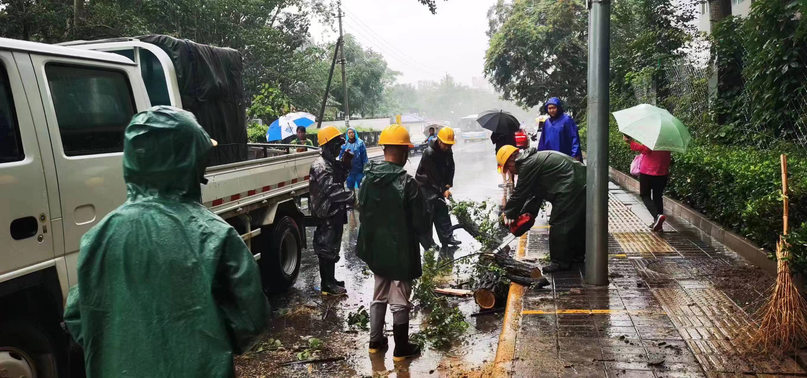 北京市园林开云电竞绿化局有力应对本轮强降雨天气(图2)