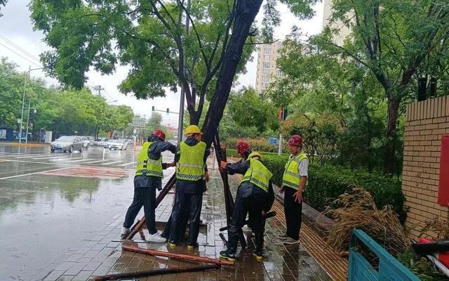 开云电竞 kaiyun.com强降雨致树木倒伏海淀区园林绿化局紧急处置(图1)