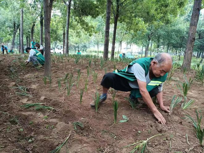 开云电竞 kaiyun.com寿光园林建设集团：精致养护 打造人民满意的幸福底色(图3)