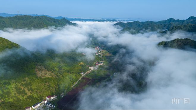 开云电竞 开云安徽宁国：紫薇开最久 烂漫十旬期(图1)