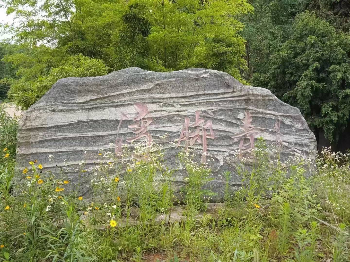 开云电竞徒步浏阳河散记（二）——诗意端午节徒步浏阳河再出发2(图15)