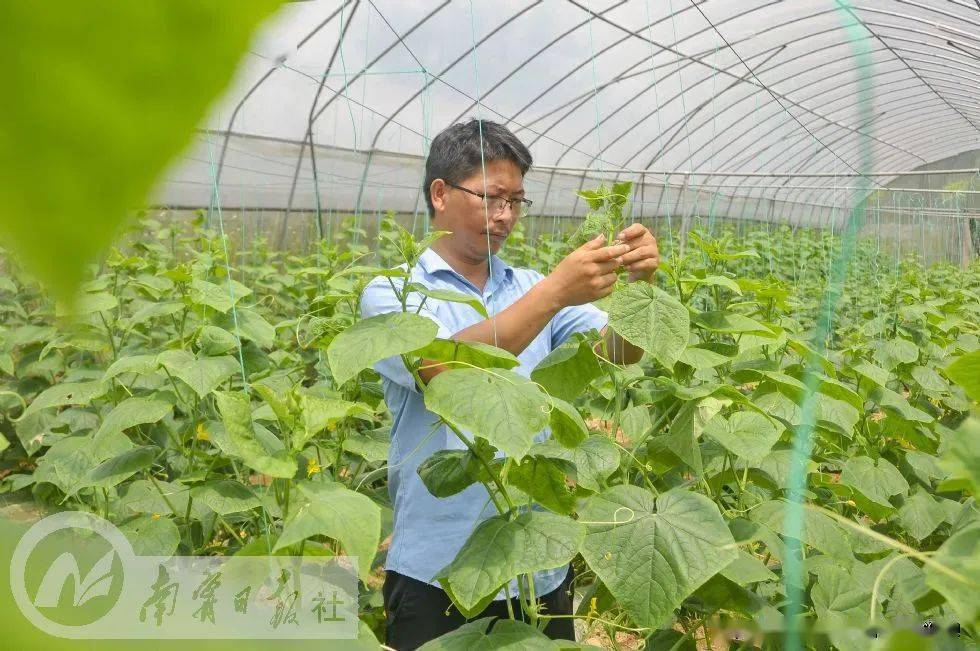 走开云电竞乡入镇看振兴｜兴宁区三塘镇——花卉苗木产业兴旺 好风景带来好前景(图2)