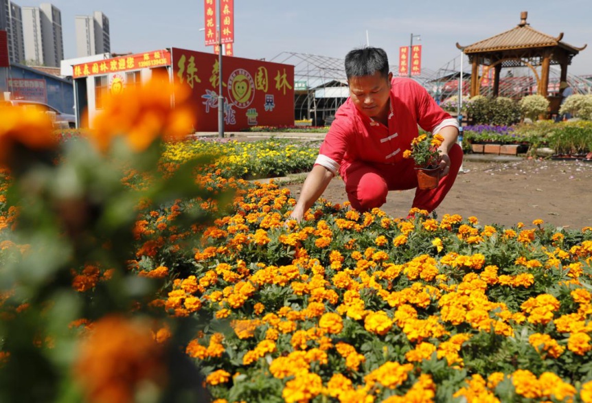 开云电竞 (开云)苗木花卉筑起产业升级绿色风景线(图2)