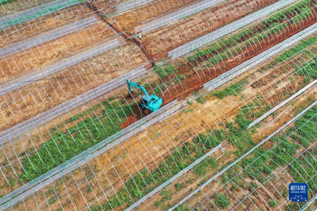 湖南常宁：智慧育苗大棚建设施开云电竞工忙(图1)