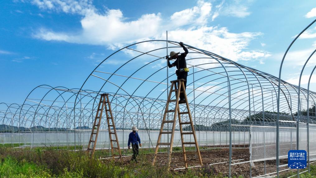 湖南常宁：智慧育苗大棚建设施开云电竞工忙(图2)