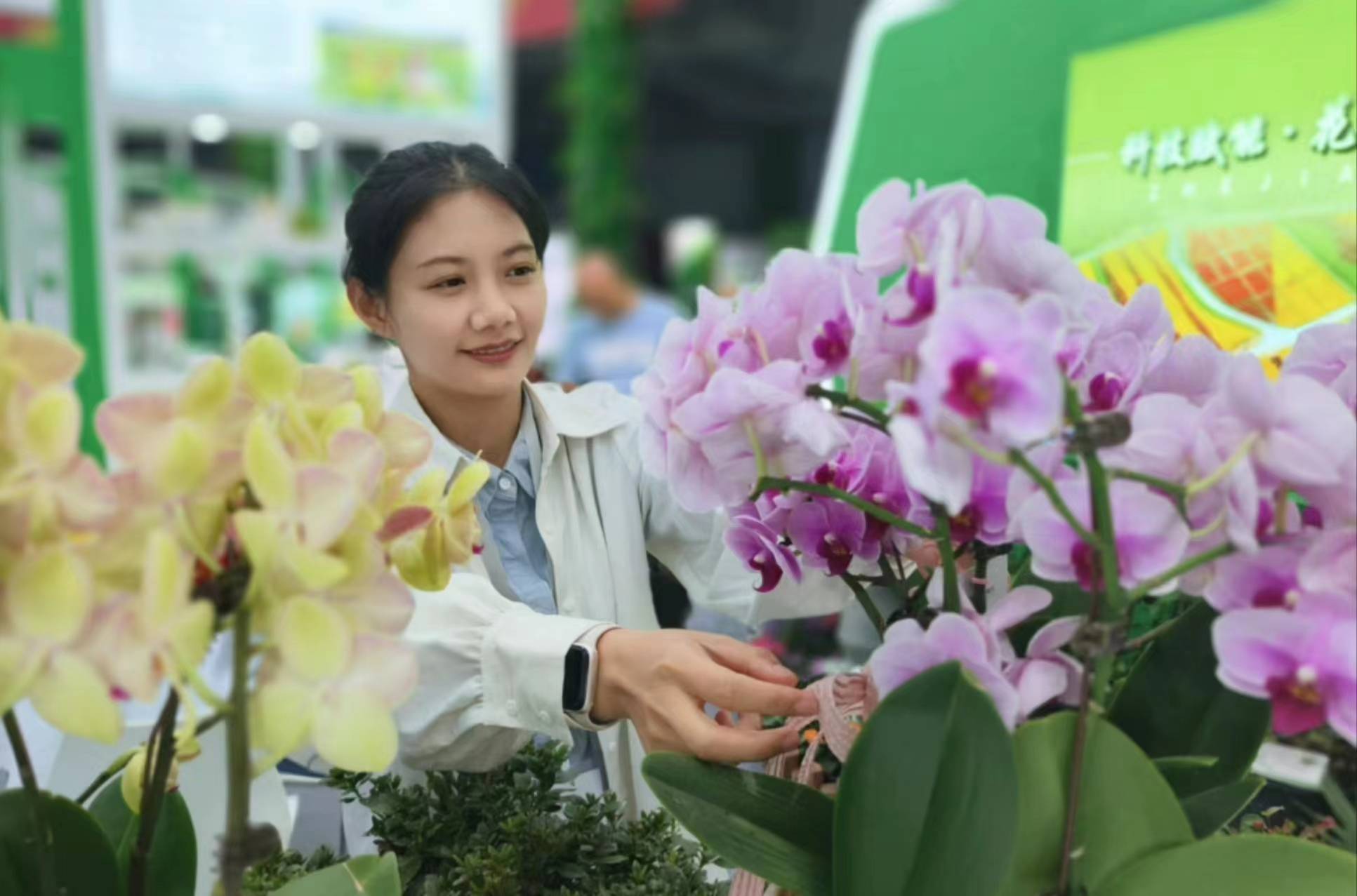 开云电竞江苏沭阳致力于打造“中国花谷”探索花木产业转型(图3)