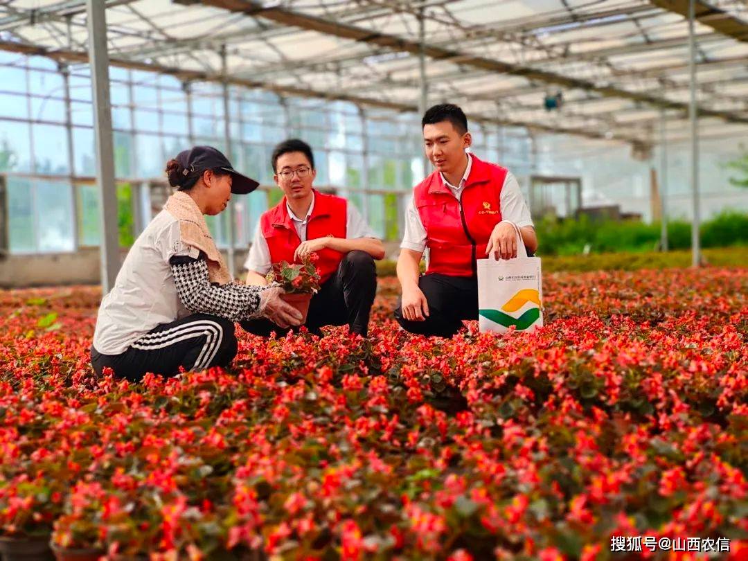 开云电竞花卉苗木成乡亲们的“致富花”(图1)