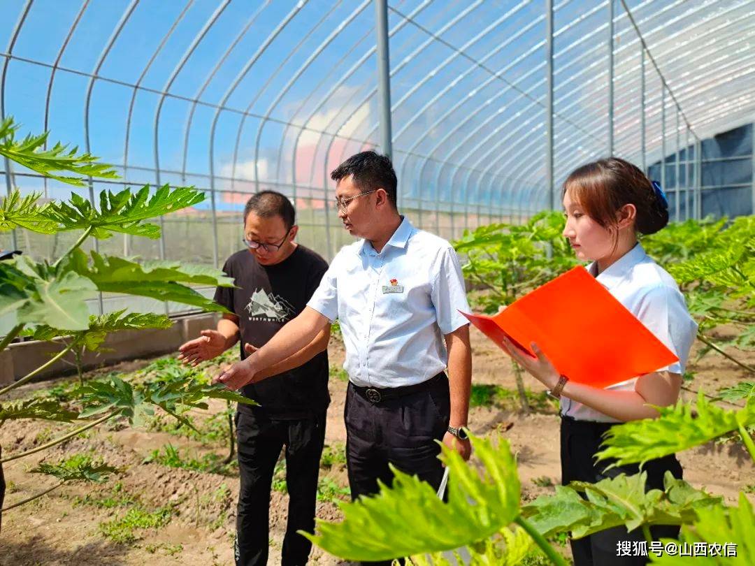 开云电竞花卉苗木成乡亲们的“致富花”(图2)