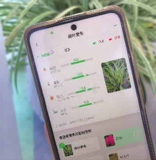 开云电竞你养的花木缺啥营养手机一看就知道 “花木+智慧”让养花不再愁(图1)