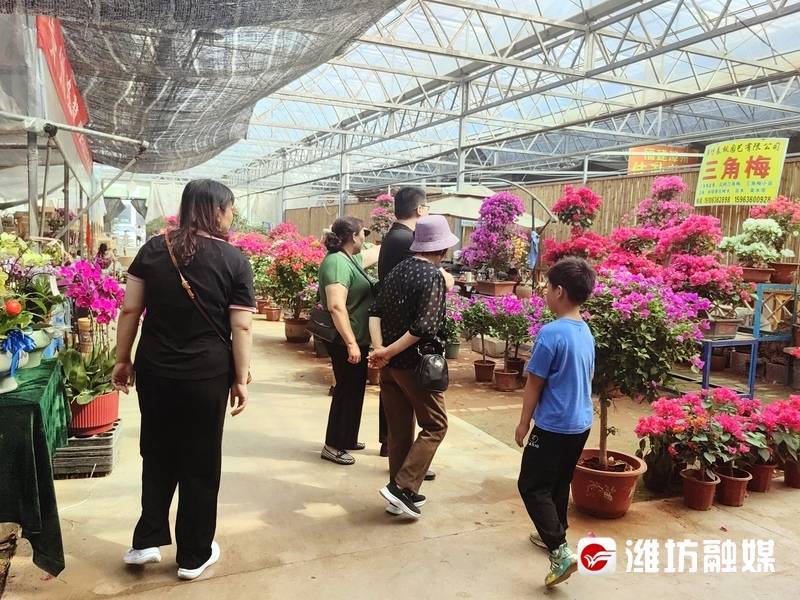 开云电竞说起过节我们“花样儿”可多着呢(图4)