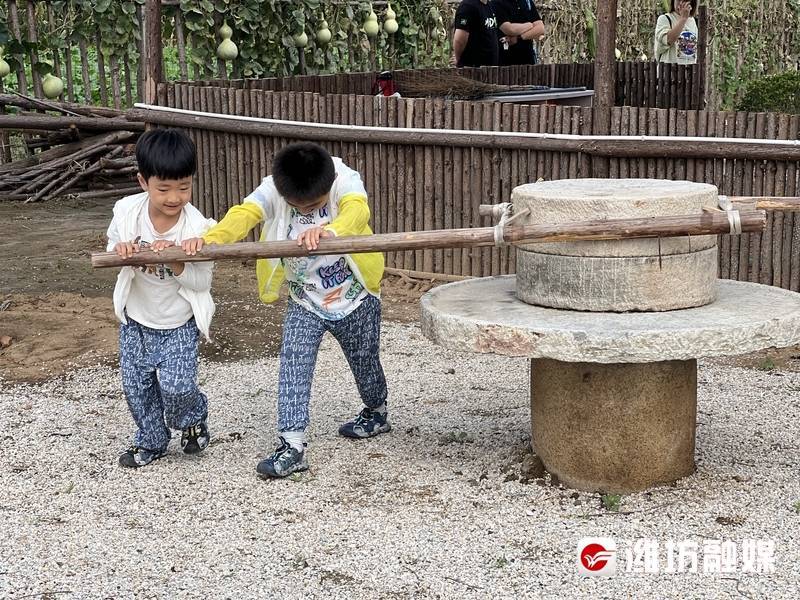 开云电竞说起过节我们“花样儿”可多着呢(图7)