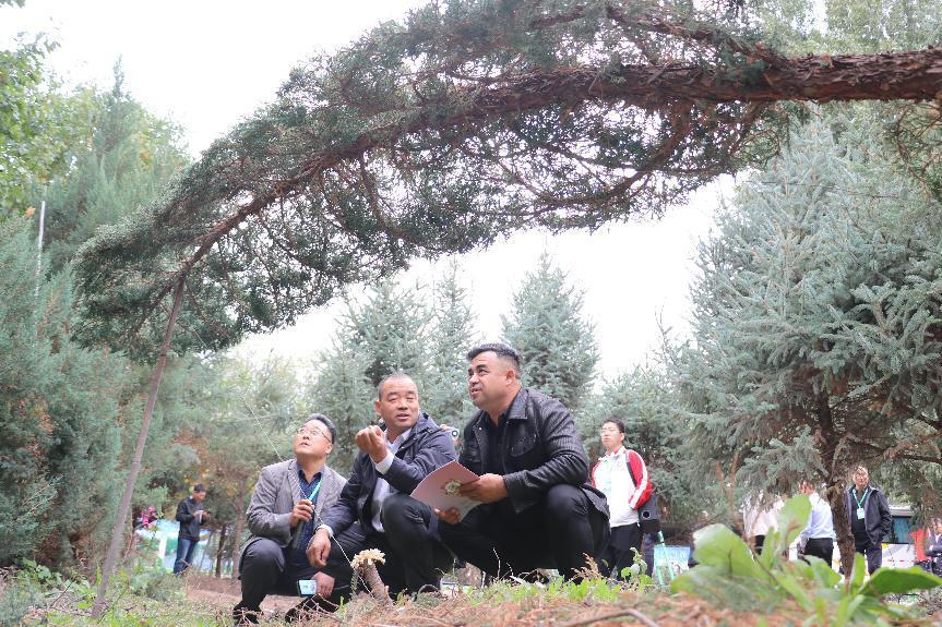 第十一届新疆苗木花卉博览会在呼图壁县开幕开云电竞(图3)