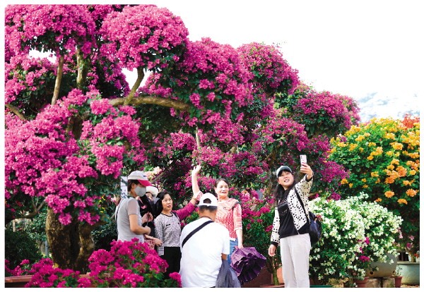 盛世花开 美丽桂林第二届南方花卉苗木交易会暨第四届广西花卉苗木交开云电竞易会见闻(图1)