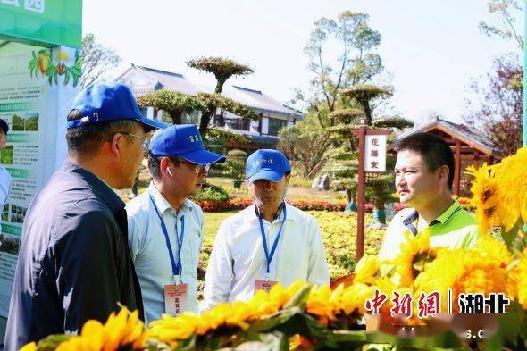 首届湖北（荆门·沙洋）花卉苗木交易会开幕开云电竞(图2)