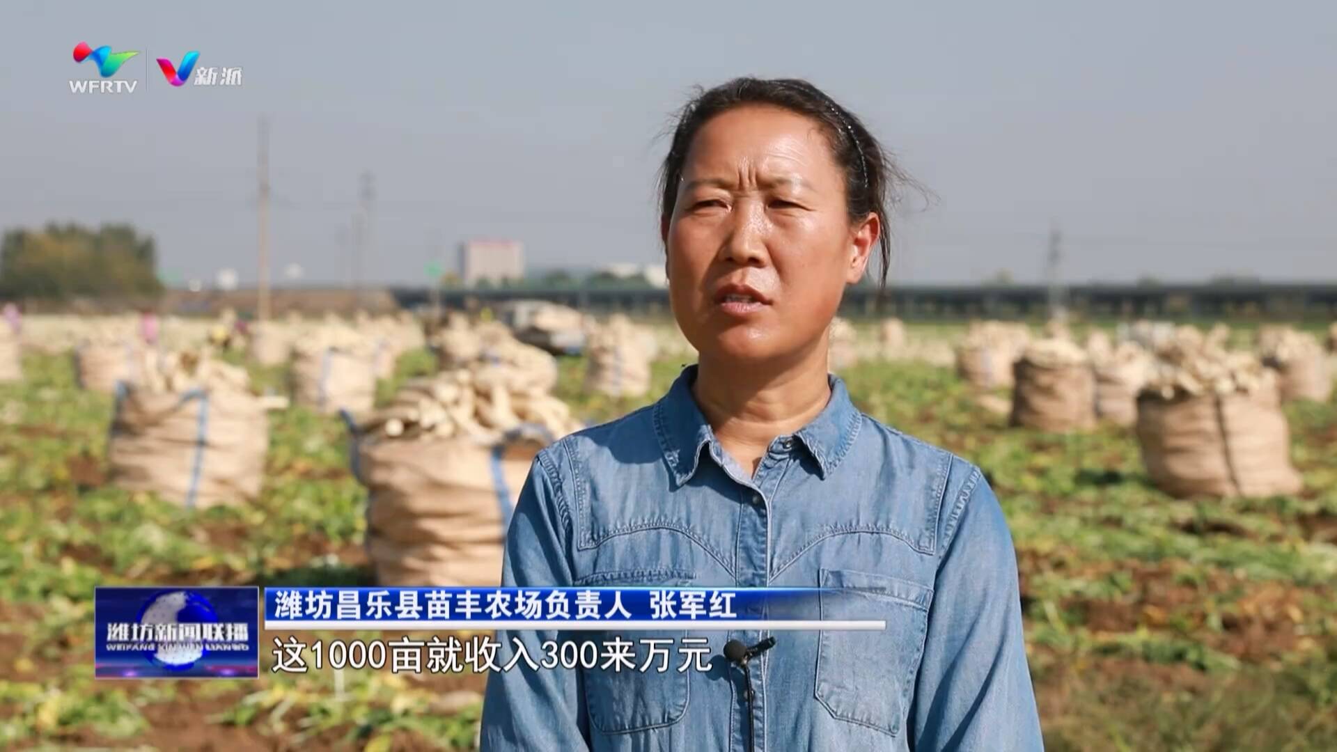 潍坊国家农综区亮出五年成绩单（二）：“微笑曲线”两端发力 希望的田野上加速开云电竞崛起现代农业(图2)