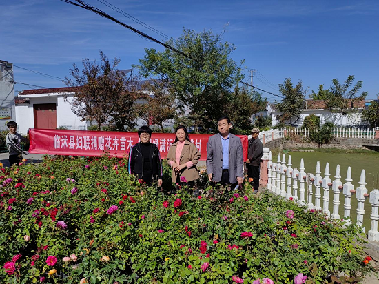 开云电竞临沭县妇联“绿满沂蒙花满村”花卉苗木捐赠活动走进郑山街道(图1)