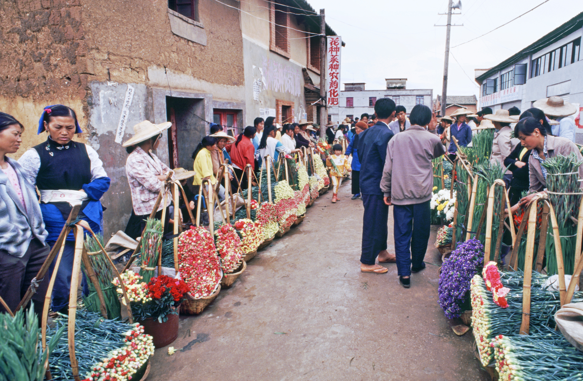 开云电竞一枝鲜花飘香世界的时代印记 ——斗南花卉产业发展40年综述(图2)