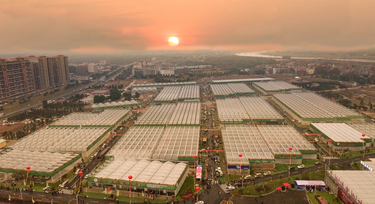 开云电竞第二十一届中国（金华）花卉苗木博览会将在金东区举行(图2)