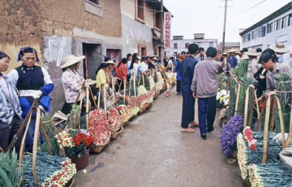 开云电竞一枝鲜花飘香世界的时代印记(图1)