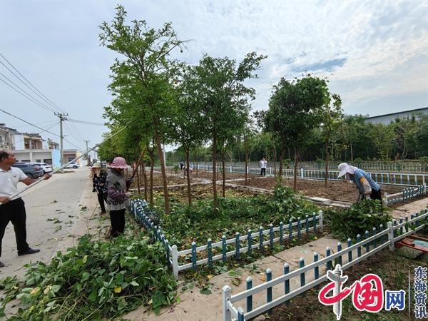 泰兴市虹桥镇八圩村：强化党建引领 “小积分”助力打造“美丽庭院示范带”开云电竞(图2)