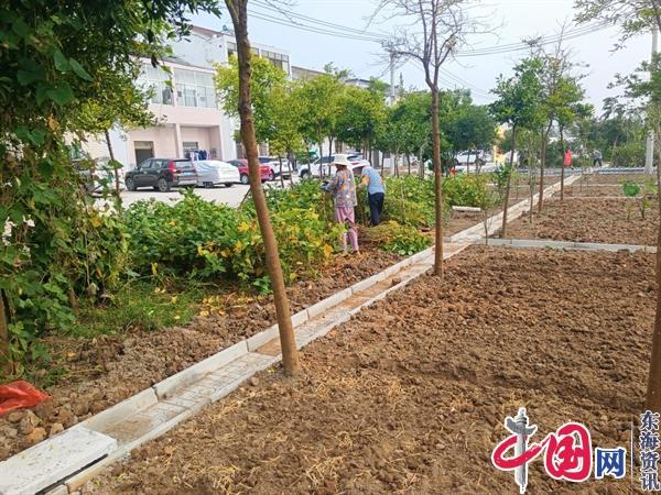 泰兴市虹桥镇八圩村：强化党建引领 “小积分”助力打造“美丽庭院示范带”开云电竞(图4)