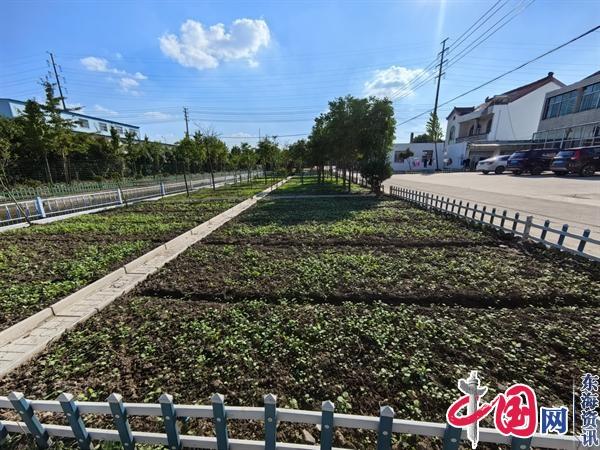 泰兴市虹桥镇八圩村：强化党建引领 “小积分”助力打造“美丽庭院示范带”开云电竞(图3)