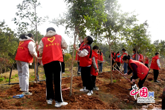 开云电竞湖南新邵：全域发力生态优 林长制绘就生态画卷(图3)