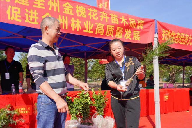 开云电竞第二届南方花卉苗木交易会暨第四届广西花卉苗木交易会全州分会场举行开幕式(图4)