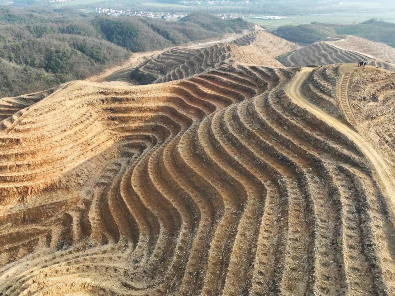 开云电竞市林业局到东至县洋湖镇督导油茶基地建设工作(图2)