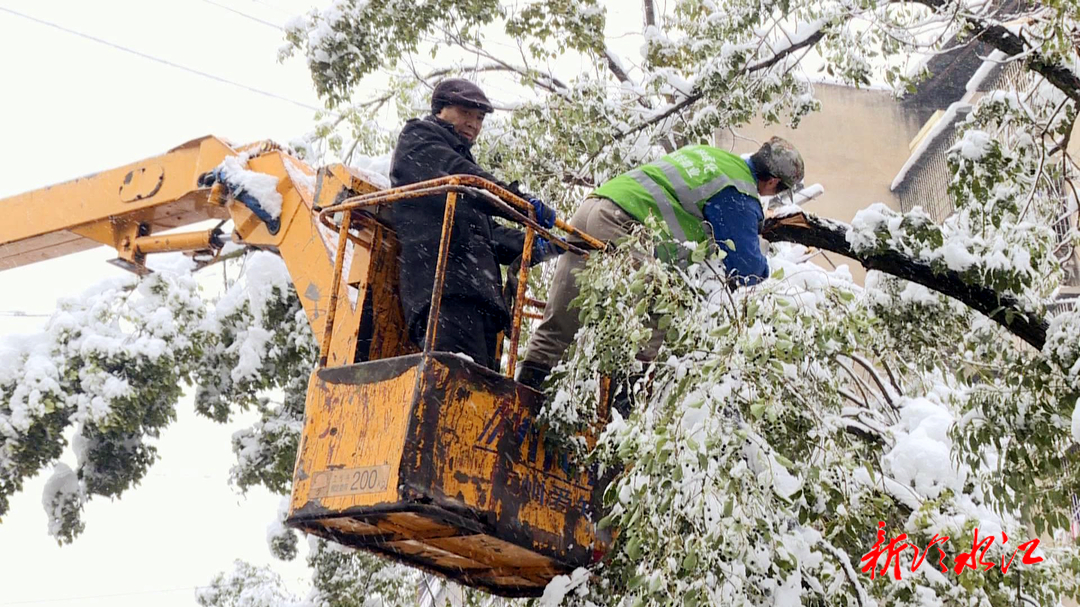 开云电竞应对低温雨雪冰冻天气 市园林绿化服务中心：及时清理积雪 确保行人安全通行(图1)