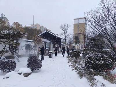 开云电竞罗山县住建局园林绿化中心：闻“雪”而动 全力做好雨雪冰冻天气园林保障工作(图1)