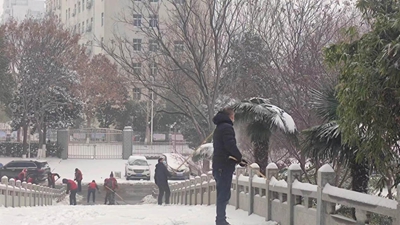 开云电竞罗山县住建局园林绿化中心：闻“雪”而动 全力做好雨雪冰冻天气园林保障工作(图2)