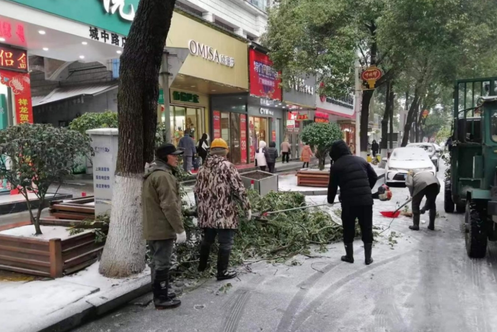 开云电竞抗击雨雪冰冻｜ 县园林绿化中心清理断枝 保障路畅民安(图1)