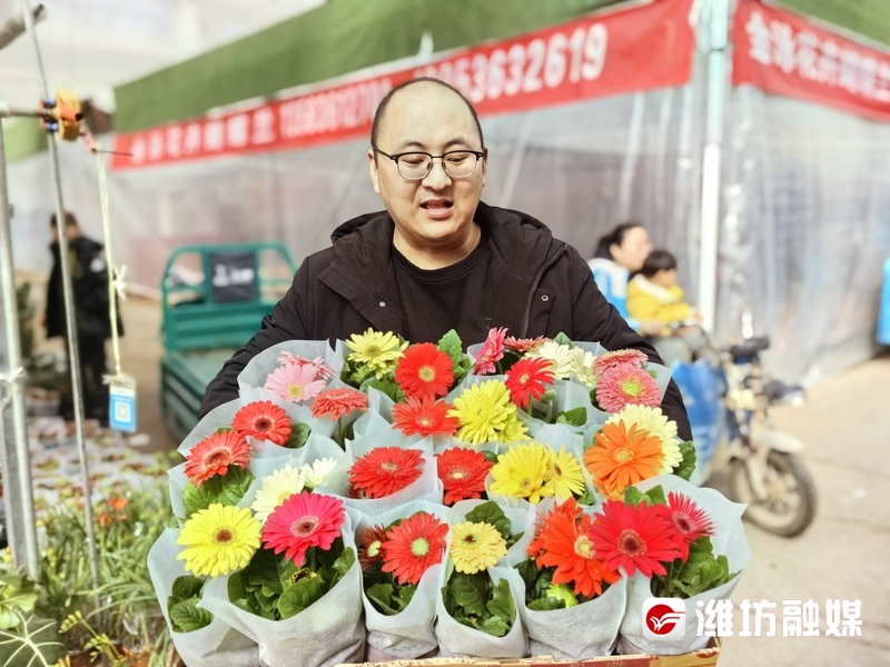 开市！潍坊开云电竞青州花卉继续热卖(图3)