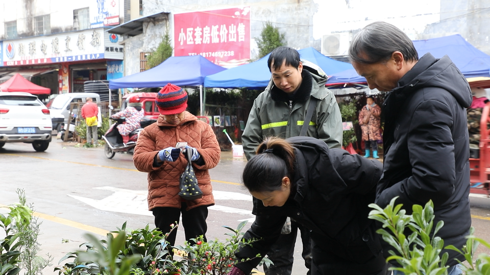 开云电竞道县：春种好时节 苗木市场销售旺(图1)