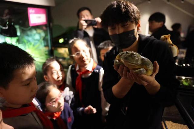 北京园林绿化科普基地揭牌成立 200余种珍惜动植物亮相“惊蛰时刻”开云电竞(图2)