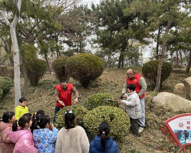 开云电竞泰安市园林绿化管理服务中心开展志愿服务活动(图2)