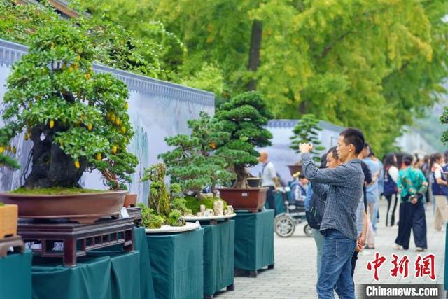 从“花经济”到“绿道生活开云电竞”：感受成都公园城市的迷人风景(图3)