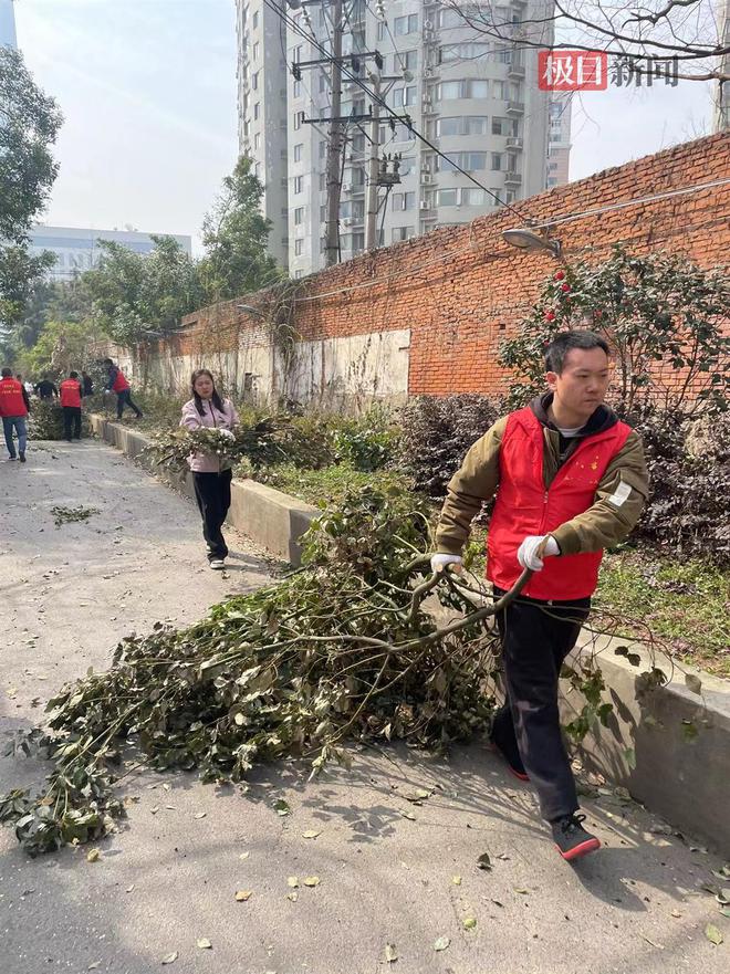 开云电竞清枝护绿添“花漾”！武汉市园林绿化建管站为社区提升绿的“饱和度”(图1)