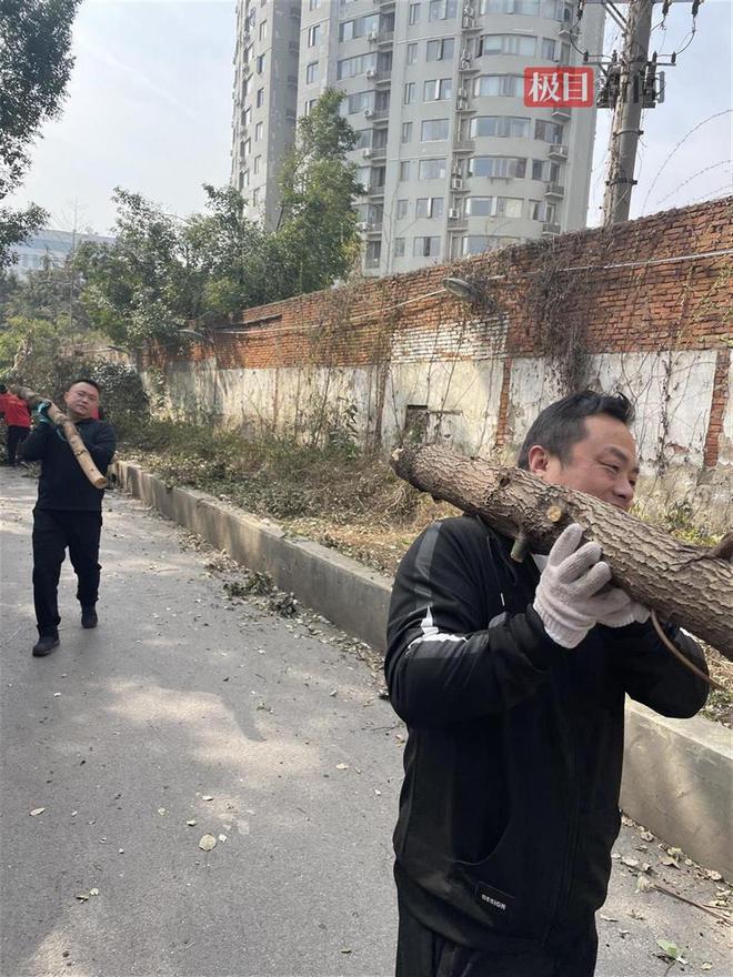 开云电竞清枝护绿添“花漾”！武汉市园林绿化建管站为社区提升绿的“饱和度”(图2)