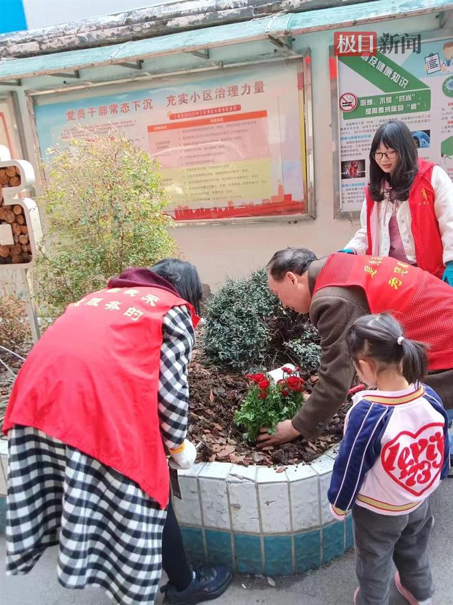 开云电竞清枝护绿添“花漾”！武汉市园林绿化建管站为社区提升绿的“饱和度”(图5)