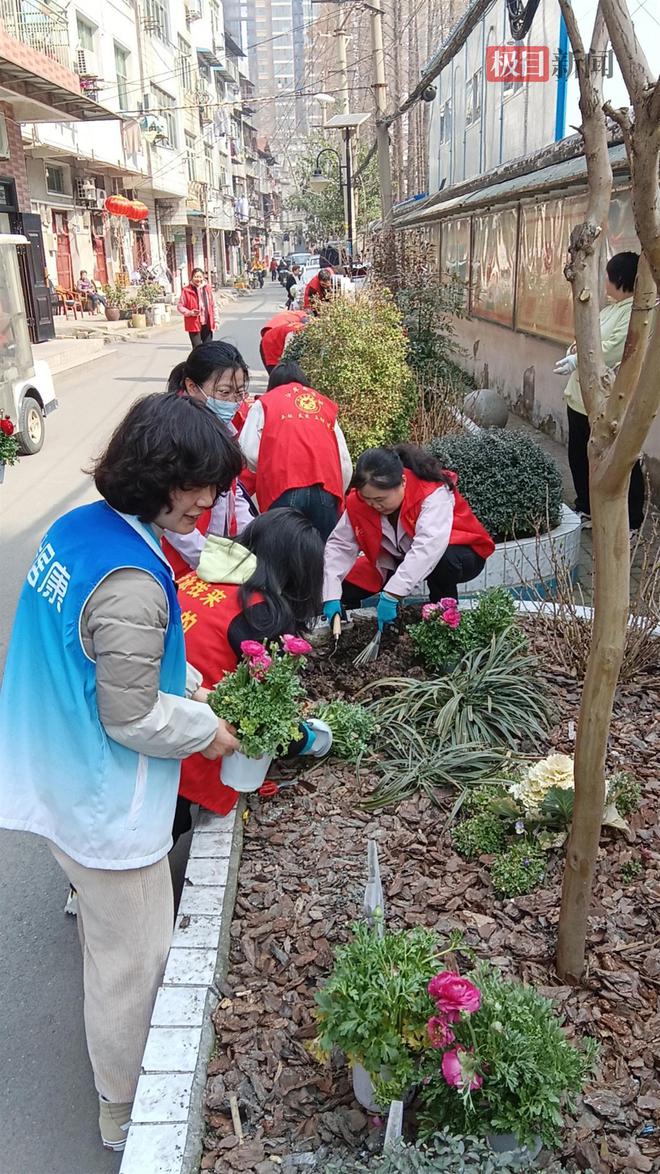 开云电竞清枝护绿添“花漾”！武汉市园林绿化建管站为社区提升绿的“饱和度”(图6)