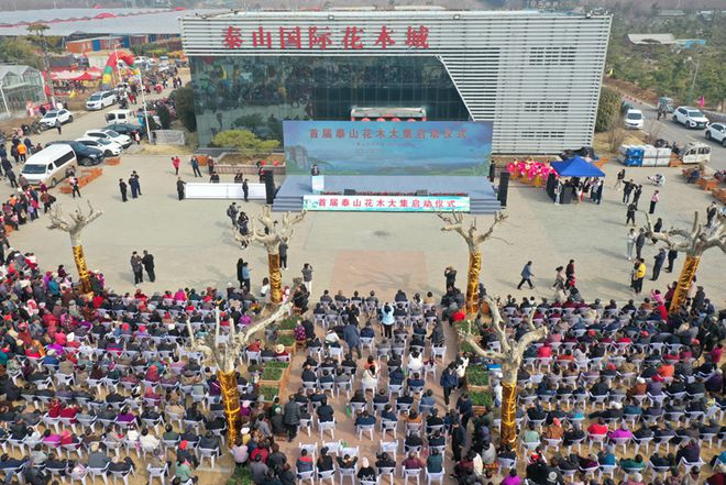 开云电竞汇聚全省优质花木泰山花木大集在泰安正式开集(图1)