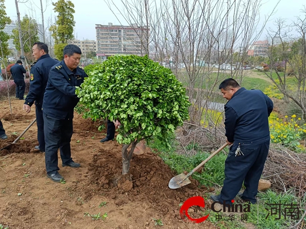 开云电竞确山县城管局：开展园林绿化养护 为市民打造靓丽春天(图5)