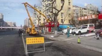 绿化街路景观和公园环境迎“五一”！哈市启动园林绿化“春整”开云电竞(图1)