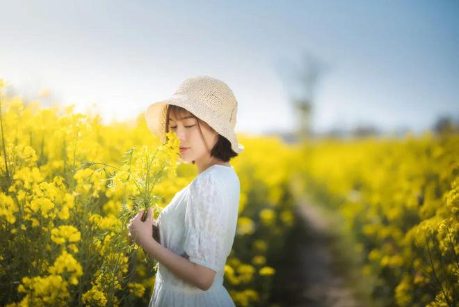 开云电竞新余醉美油菜花、感受春天的花香(图1)