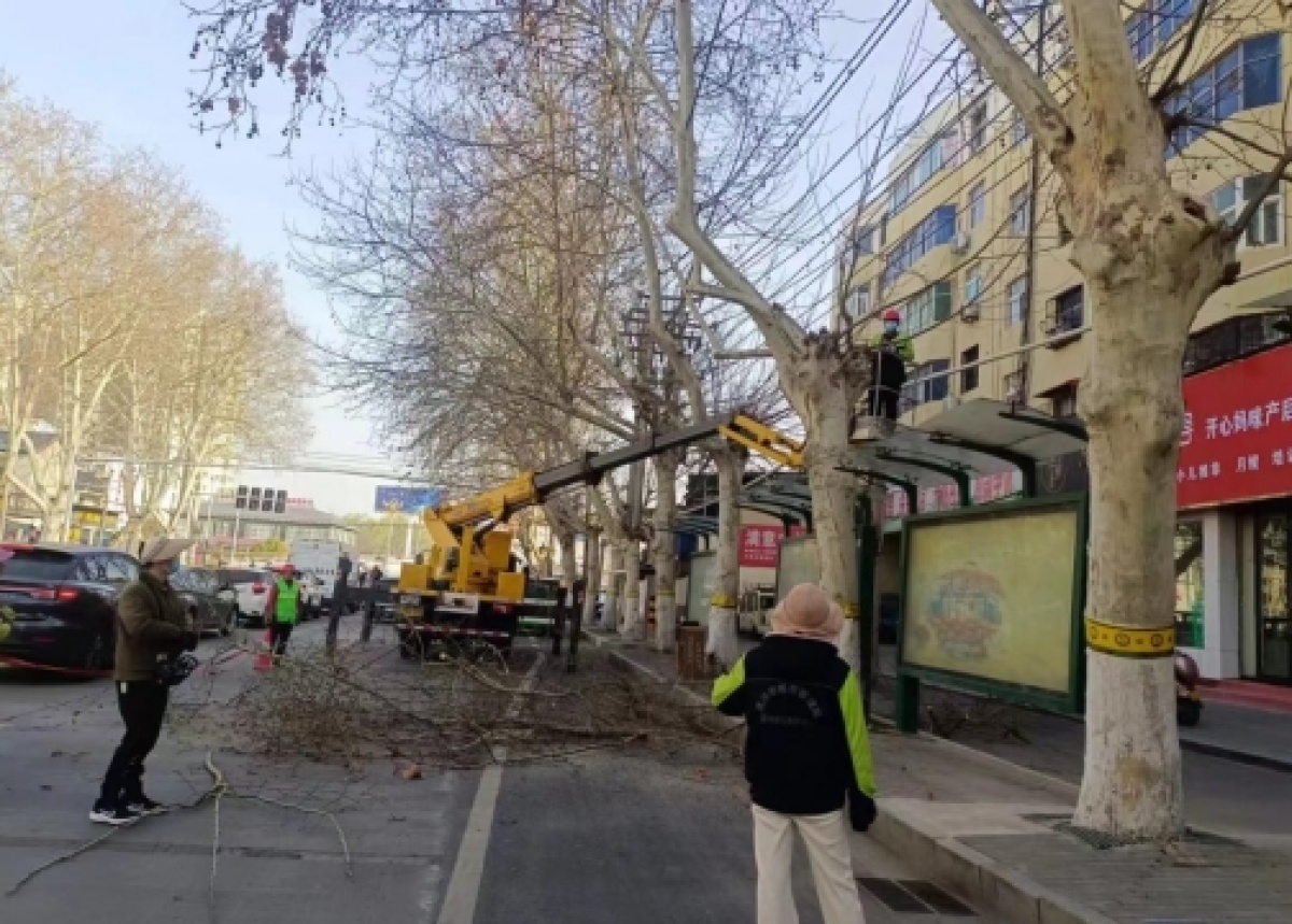 开云电竞补植修剪施肥清园! 漯河市园林绿化养护中心巧手打扮城市景观(图4)