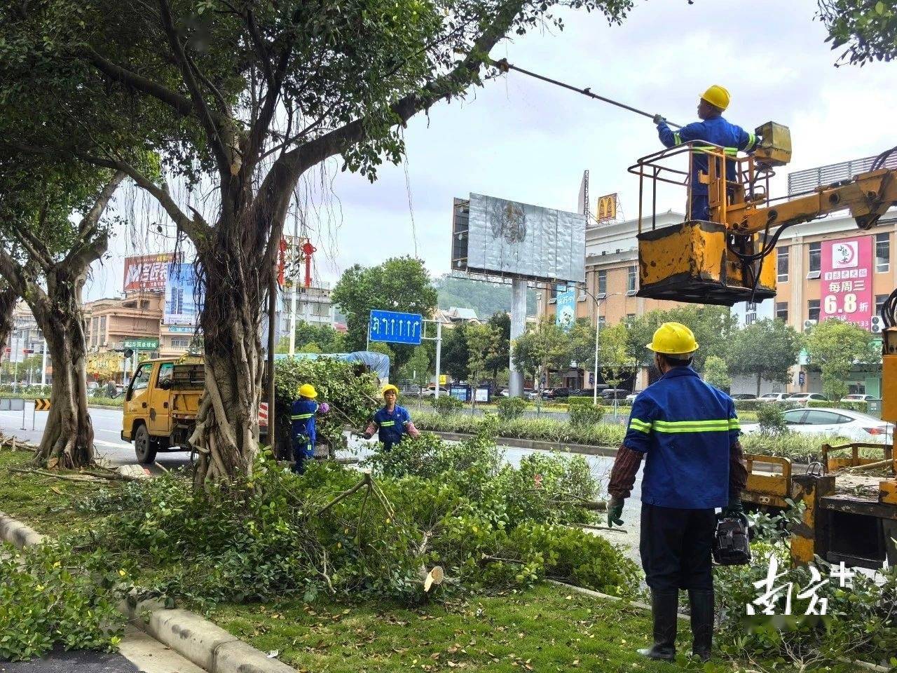 开云电竞增植绿化约2900株阳春提升城市绿化品质(图1)